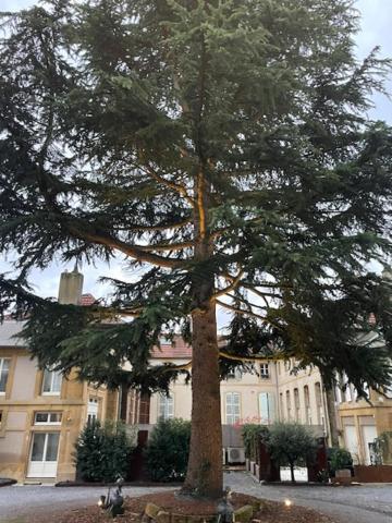 La Cour De La Tresorerie Μετς Εξωτερικό φωτογραφία